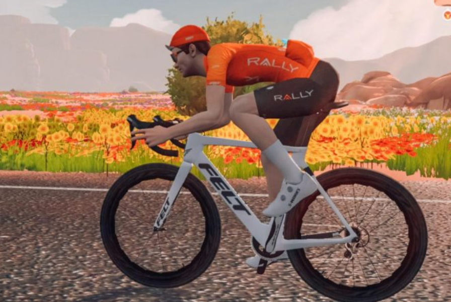 Watch The Virtual Tour de France