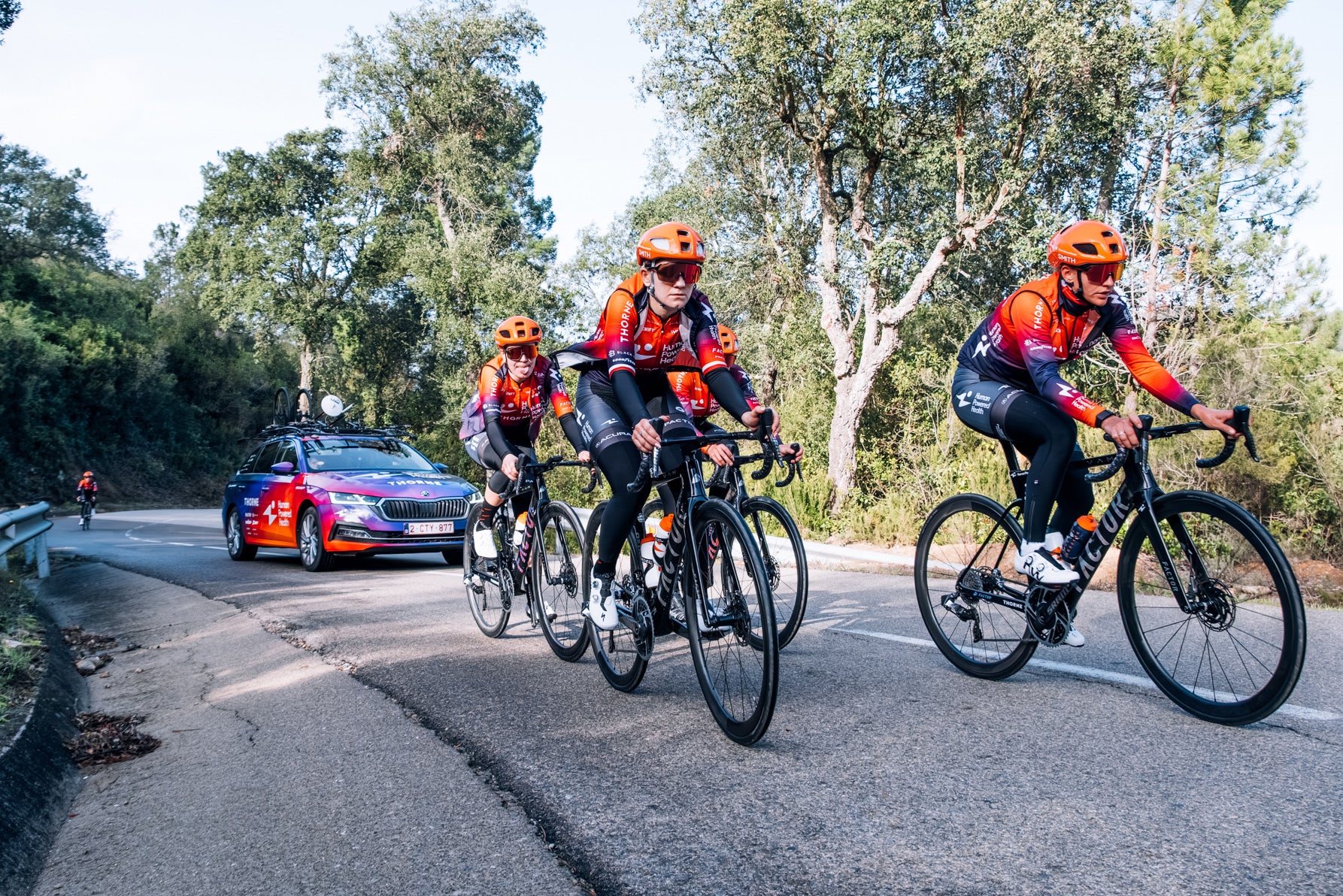 Pactimo outlet team store