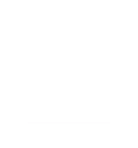 Pactimo Custom Logo