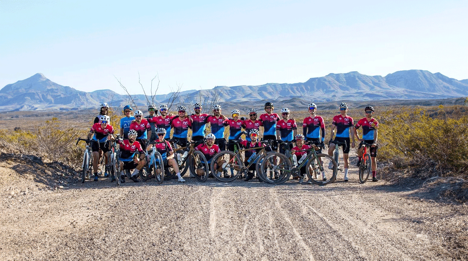 Pactimo team store deals
